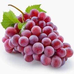 TÜPLÜ CRİMSON ÜZÜM FİDANI (ASMA-BAĞ) 2 YAŞ ÇOK LEZZETLİ - ÇEKİRDEKSİZ