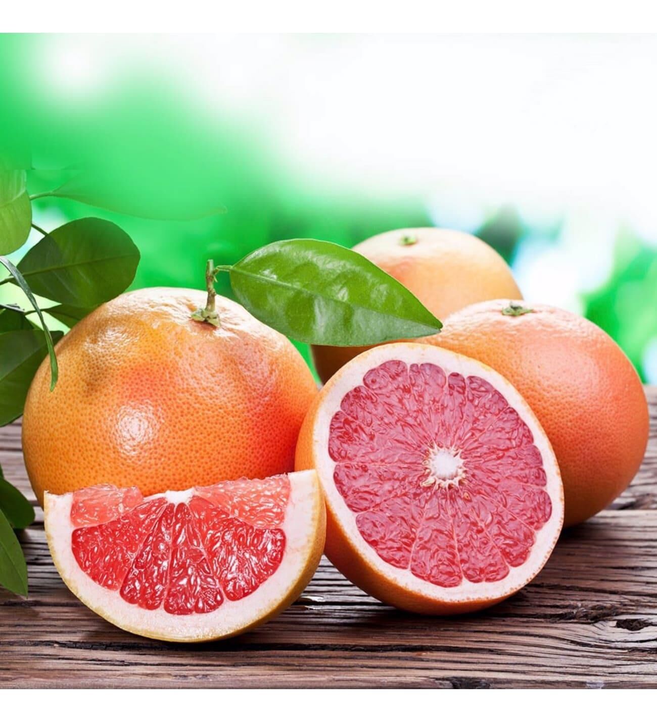 TÜPLÜ AŞILI STAR RUBY İÇİ DIŞI KIRMIZI GREYFURT FİDANI YAŞ 2 BOY 90-110 CM SOĞUKLARA DAYANIKLI