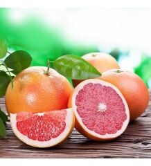 TÜPLÜ AŞILI STAR RUBY İÇİ DIŞI KIRMIZI GREYFURT FİDANI YAŞ 2 BOY 90-110 CM SOĞUKLARA DAYANIKLI