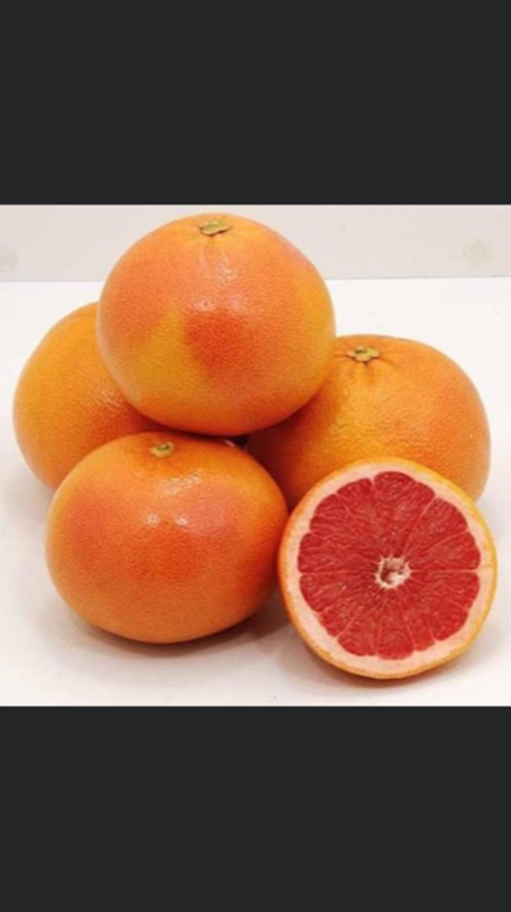 TÜPLÜ AŞILI RİO RED GREYFURT FİDANI 2 YAŞ BOY 90-110 CM