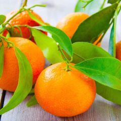 TÜPLÜ AŞILI EARLY MANDALİNA ( ERKENCİ)YAŞ 1-2 BOY 90-110CM