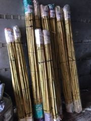 50 adet 80-90 cm Fidan Destek Çubuğu Kamış(Ucu sivriltilmiş,temizlenmiş)