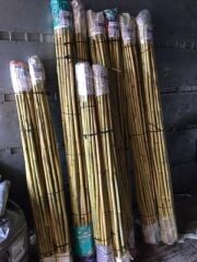 50 adet 80-90 cm Fidan Destek Çubuğu Kamış(Ucu sivriltilmiş,temizlenmiş)