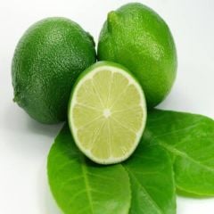 2 YAŞ TÜPLÜ ÇEKİRDEKSİZ MEKSİKA  LİME LİMON FİDANI