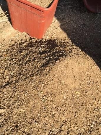 25 LT (15KG) %100 DOĞAL TINLI BAHÇE TOPRAĞI (3'TE 1 KEÇİ GÜBRESİ KATKILI