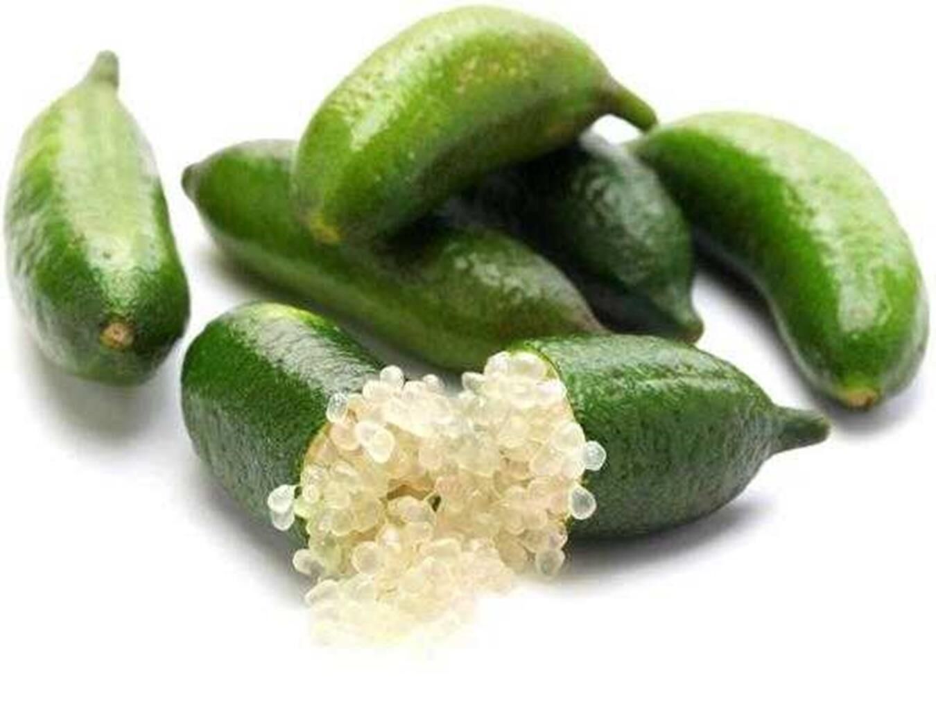 TÜPLÜ NADİR BİR ÇEŞİT YEŞİL FİNGERLİME(PARMAK LİMON)