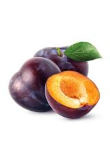 3 YAŞ TÜPLÜ ANEGLİNO(ANJELİKA) JAPON ERİĞİ FİDANI BOY 150CM+