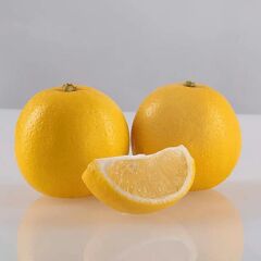 3 YAŞ TÜPLÜ ,MEYVE VEREN ,TATLI (ŞEKER) LİMON FİDANI BOY 130-150 CM